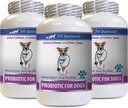 Dog Diarrhea Relief - PROBIOTICS for Dogs - Healthy Gut - Stop Gas Diarrhea and Bad Breath - Digestive Boost - Dog probiotics and Digestive enzymes - 3 Bottles (180 Treats)