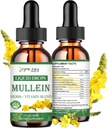 Mullein Drops for Lungs, Powerful Lung Cleanse Detox for Smoker, Organic Mullein and Chlorophyll Drops for Lungs, Mullein Leaf Extract for Lung & Bronchia ,Respiratory Health, Immune Boost 2 FL/OZ