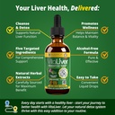 VitaLiver - Liver Health Supplement - Support Liver Cleanse & Detox - Liquid Delivery for Absorption - Milk Thistle, Artichoke, Chanca Piedra, Dandelion & More!