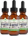 RawGuru Methylfolate 1mg+ Vitamin B12 - Organic Vegan Methylated B12 with Trace Minerals - Nano-Processed & Enhanced Liquid Formula - 300 Servings of Vegan Drops per 30 ml, Pack of 3