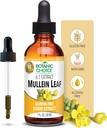 Botanic Choice Mullein Leaf Liquid Extract, Alcohol Free, Gluten Free, Traditional Respiratory Support 1 Fl. Oz.
