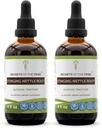 Secrets of the Tribe Stinging Nettle Root Tincture Alcohol Extract, High-Potency Herbal Drops, Tincture Made from Stinging Nettle Urtica Dioica Respiratory and Urinary System Health 2x4 oz