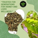 Stone Breaker Chanca Piedra Tea - Loose Leaf w/ 35 Tea bags - Natural Kidney Cleanse - Kidney Stone Crusher & Gallblader Detox from Peru (Phyllanthus niruri)