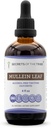 Secrets of the Tribe Mullein Leaf Alcohol-Free Liquid Extract, Mullein (Verbascum thapsus) Tincture Supplement (4 FL OZ)